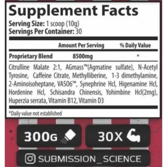 SUBMISSION SCIENCE ROCKY KO ROUND 2 300G Submission Science